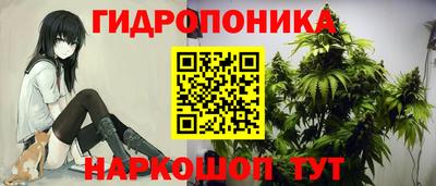 не бодяженный Новозыбков