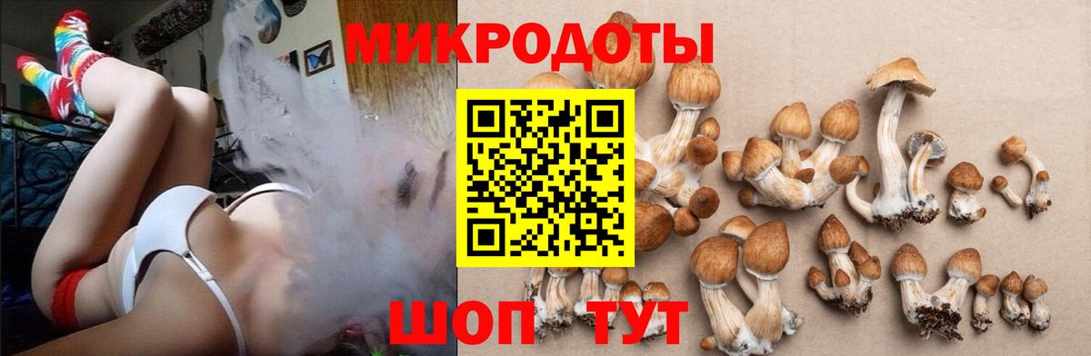 Псилоцибиновые грибы Psilocybe  Галлюциногенные грибы Psilocybine cubensis  Вход с VPN  Севастополь 